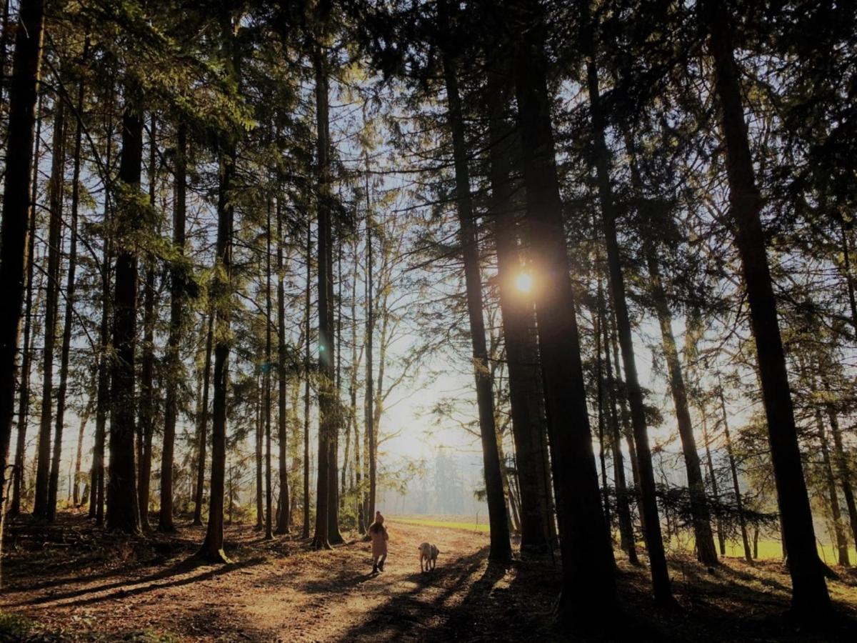 Feriendorf Buechelberg Windorf  外观 照片